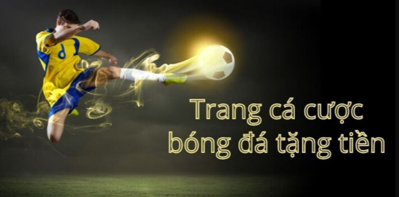 Nền tảng 8xbet - cá cược bóng đá hàng đầu dành cho người hâm mộ.